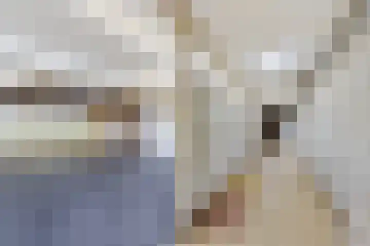 Dwarsnoard 21 Workum thumbnail 14