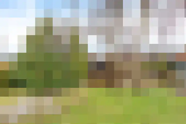 Dwarsnoard 21 Workum thumbnail 17