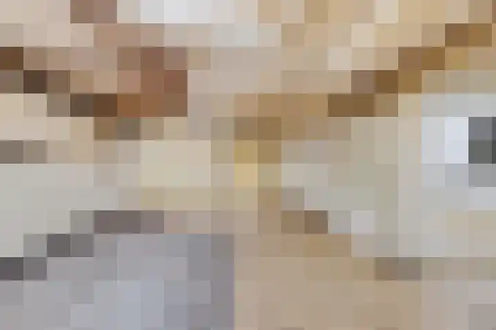 Dwarsnoard 21 Workum thumbnail 4