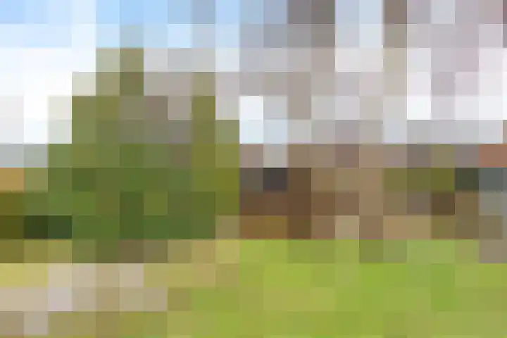 Dwarsnoard 21 Workum thumbnail 5
