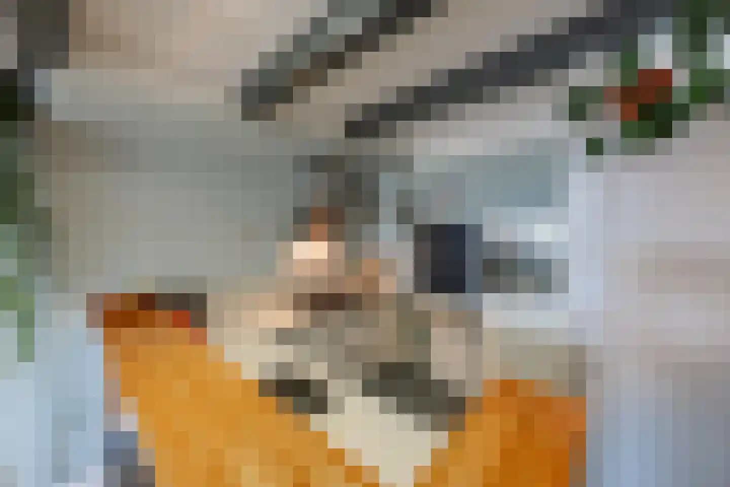 Dwarsnoard 5 Workum thumbnail 11