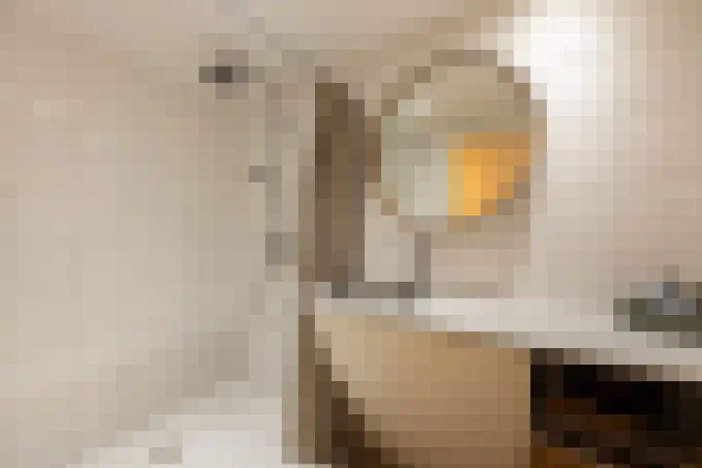 Dwarsnoard 5 Workum thumbnail 12