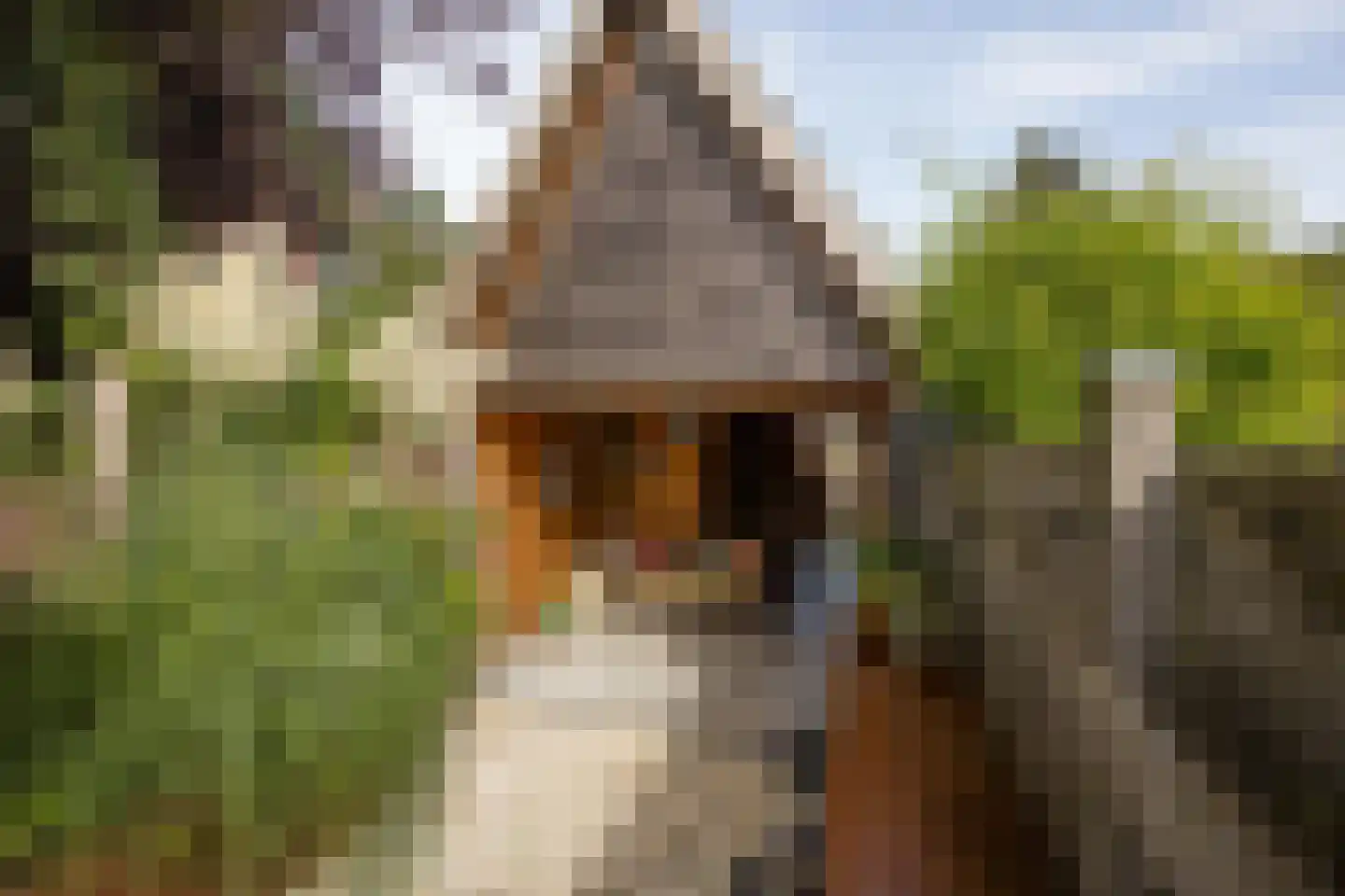 Dwarsnoard 5 Workum thumbnail 14