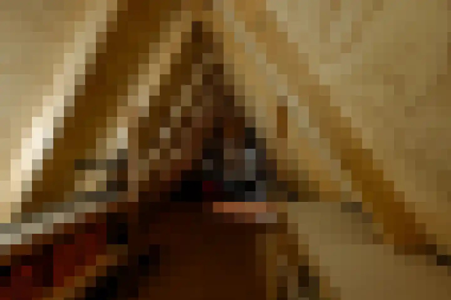 Dwarsnoard 5 Workum thumbnail 16