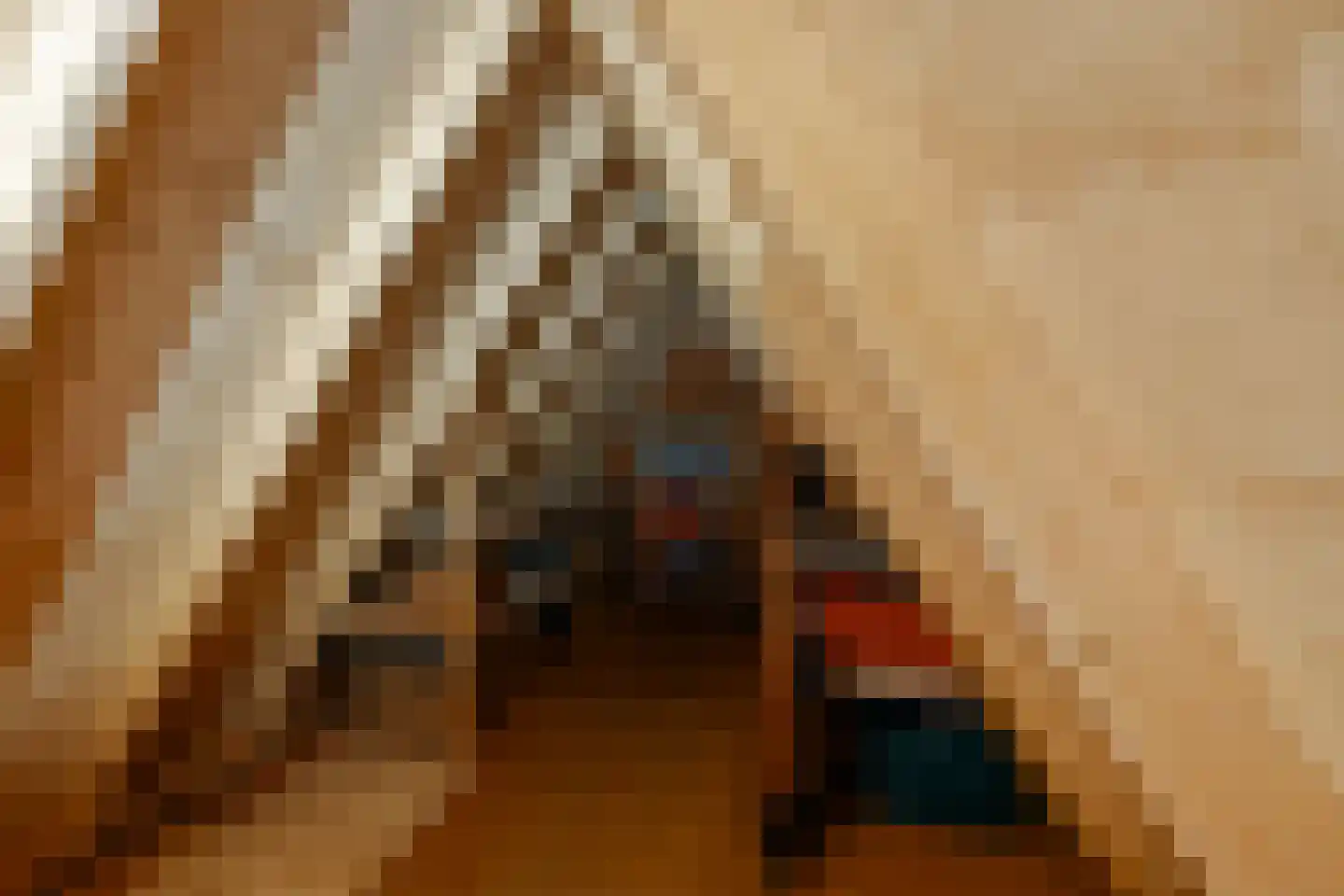 Dwarsnoard 5 Workum thumbnail 17