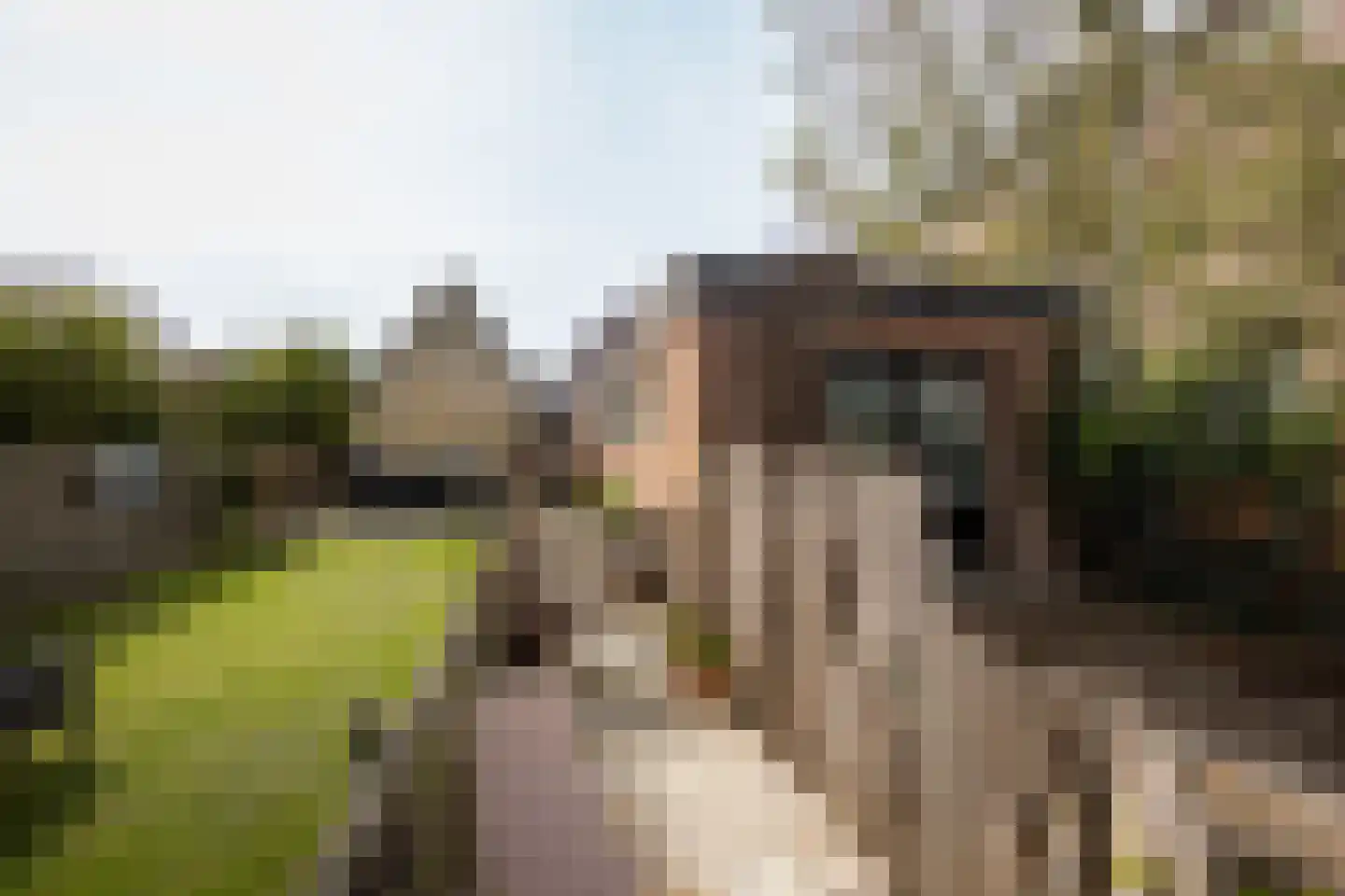 Dwarsnoard 5 Workum thumbnail 19