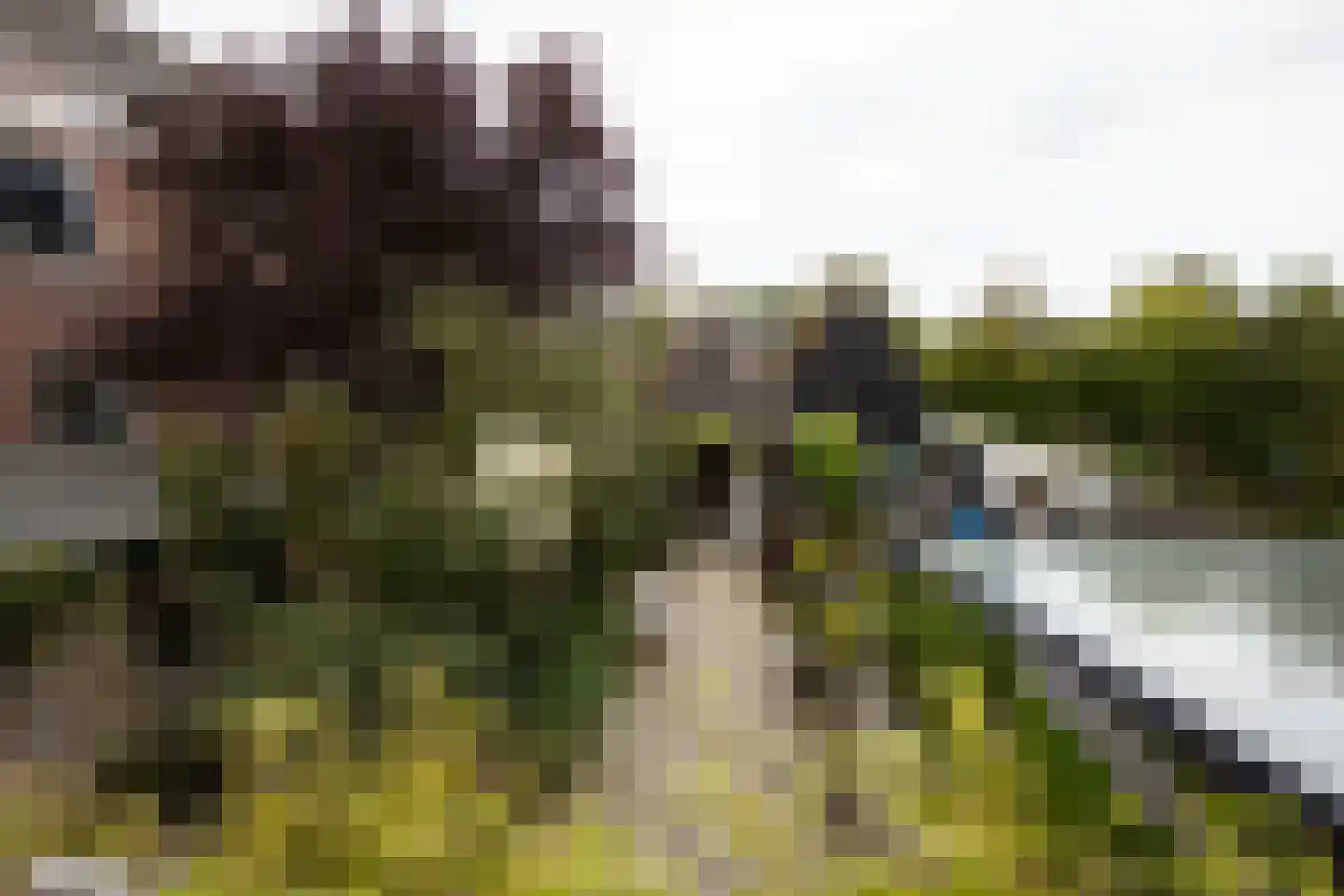 Dwarsnoard 5 Workum thumbnail 21