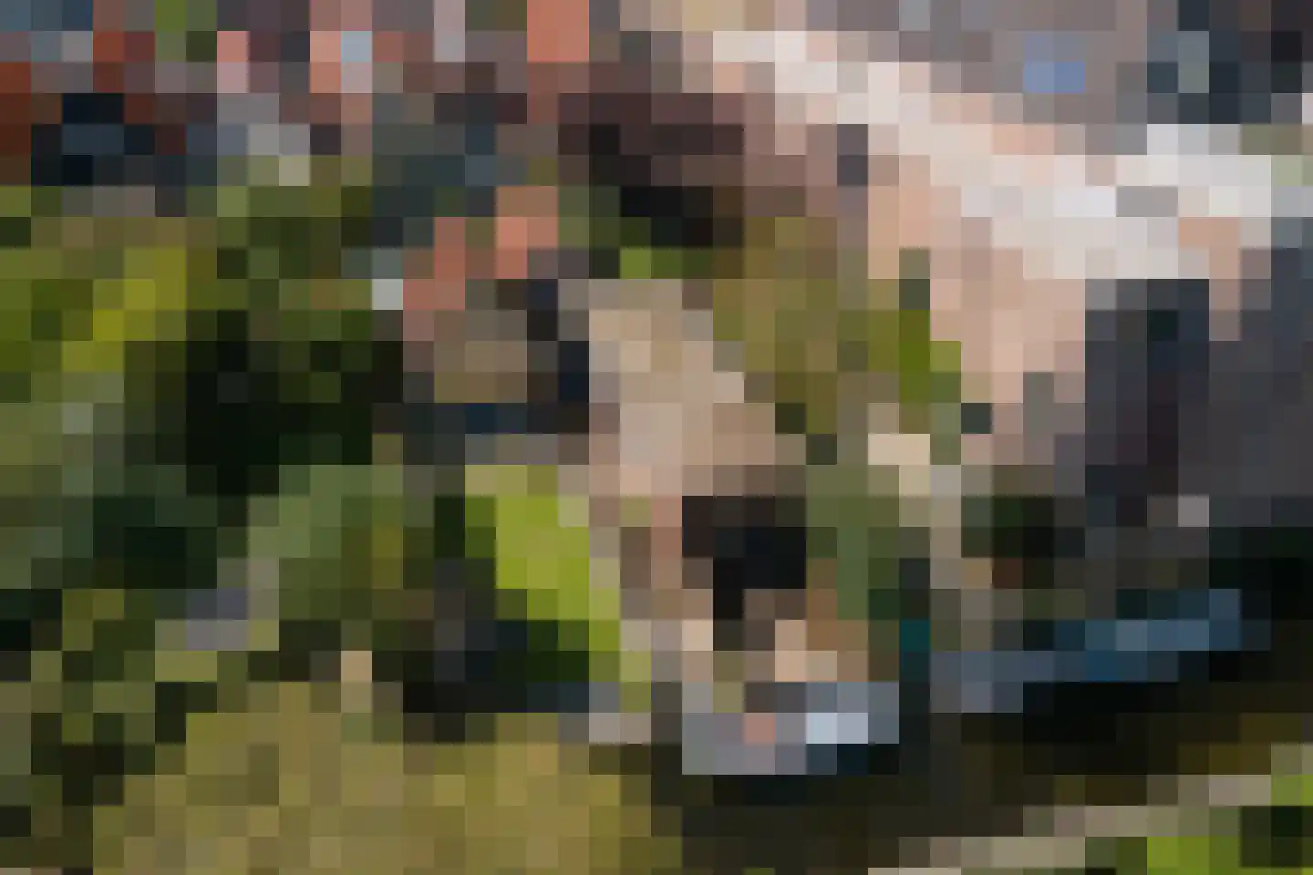 Dwarsnoard 5 Workum thumbnail 23