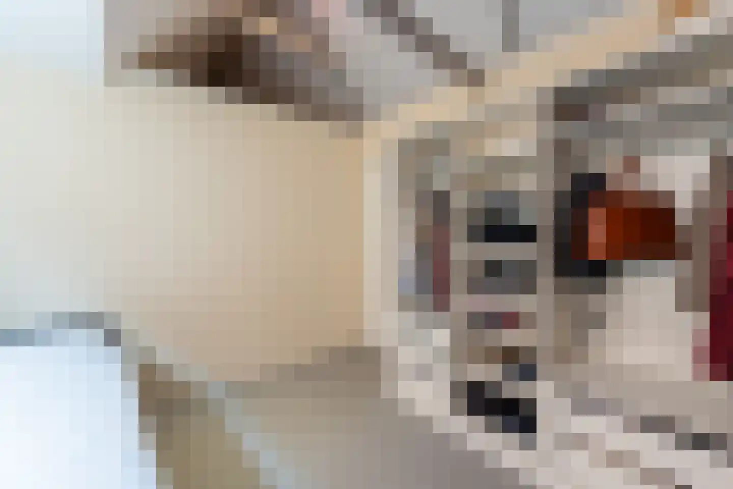 Dwarsnoard 5 Workum thumbnail 28
