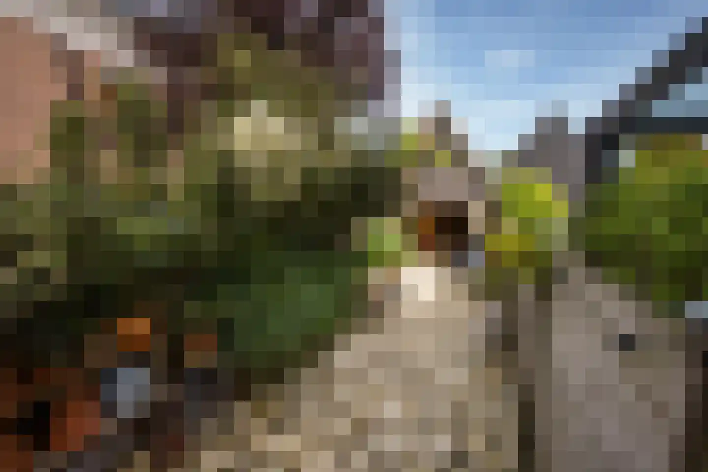 Dwarsnoard 5 Workum foto 3