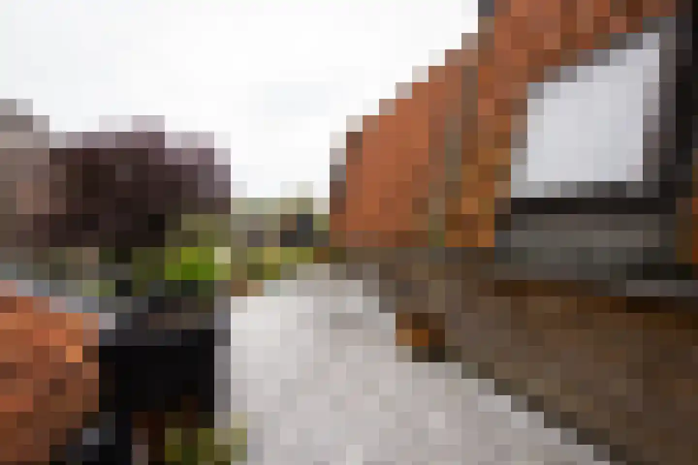 Dwarsnoard 5 Workum thumbnail 30