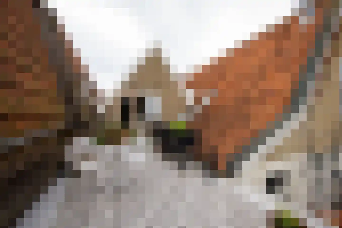 Dwarsnoard 5 Workum thumbnail 31