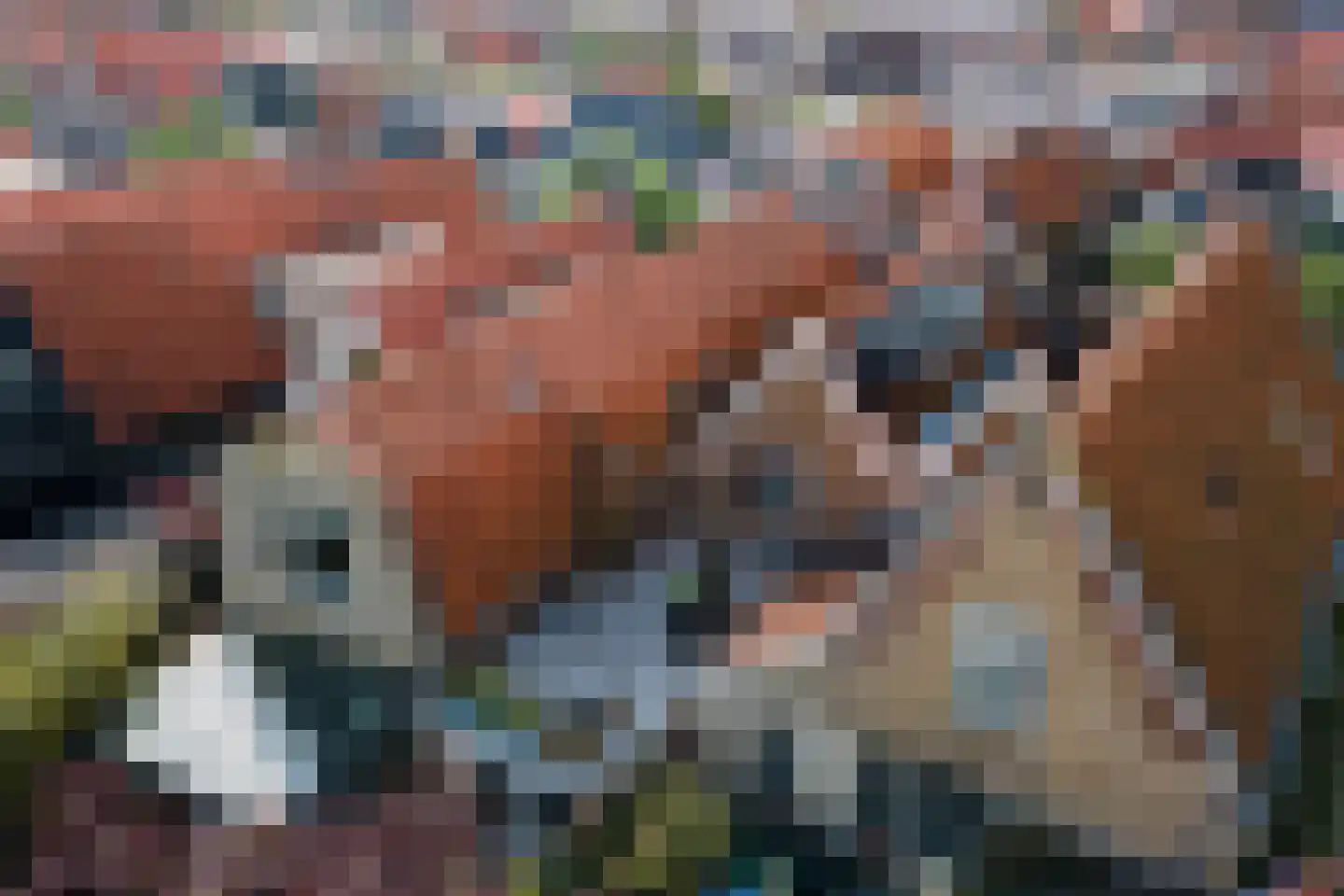 Dwarsnoard 5 Workum thumbnail 32