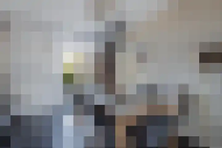 Dwarsnoard 51 Workum thumbnail 12