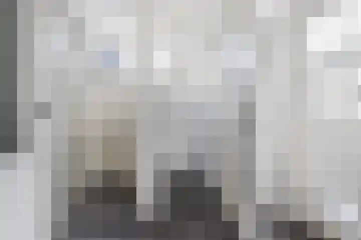 Dwarsnoard 51 Workum thumbnail 19