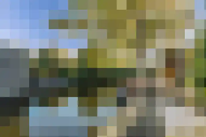 Dwarsnoard 51 Workum thumbnail 26