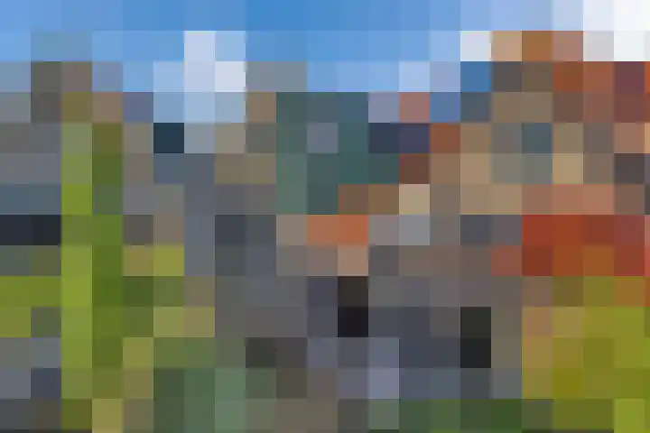 Dwarsnoard 51 Workum thumbnail 31