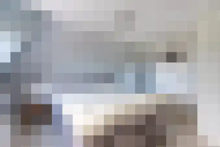 Dwarsnoard 51 Workum thumbnail 35