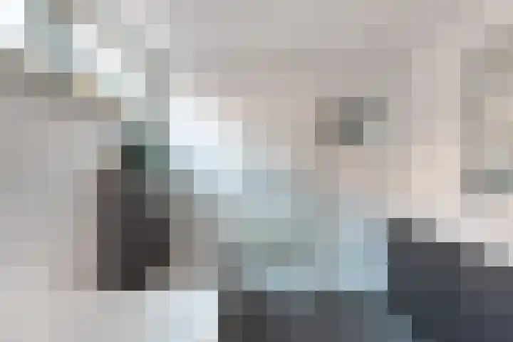 Dwarsnoard 51 Workum thumbnail 44