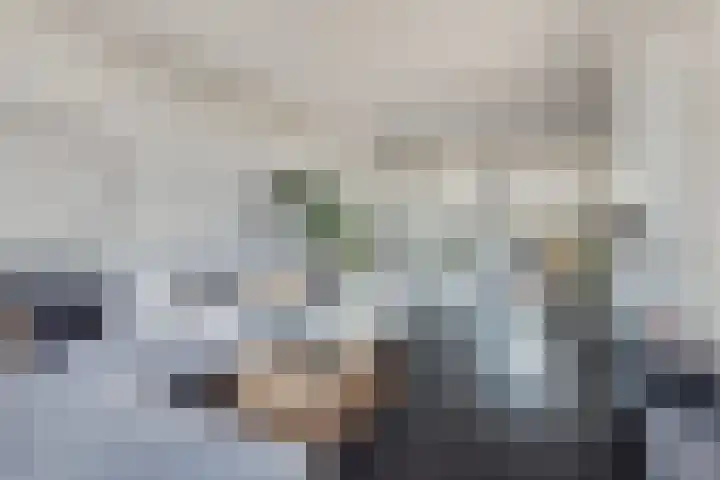 Dwarsnoard 51 Workum thumbnail 8