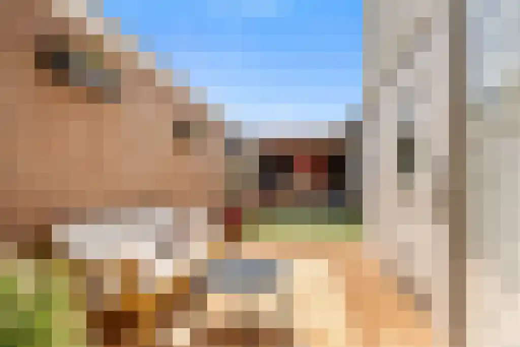 Dwarsnoard 8 Workum thumbnail 12