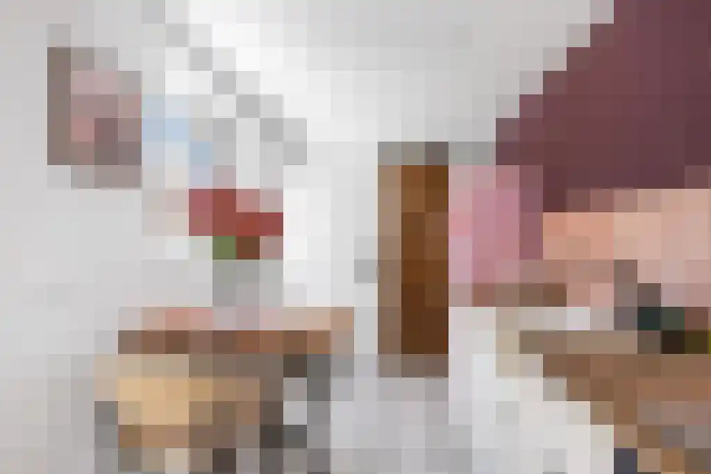 Dwarsnoard 8 Workum thumbnail 16
