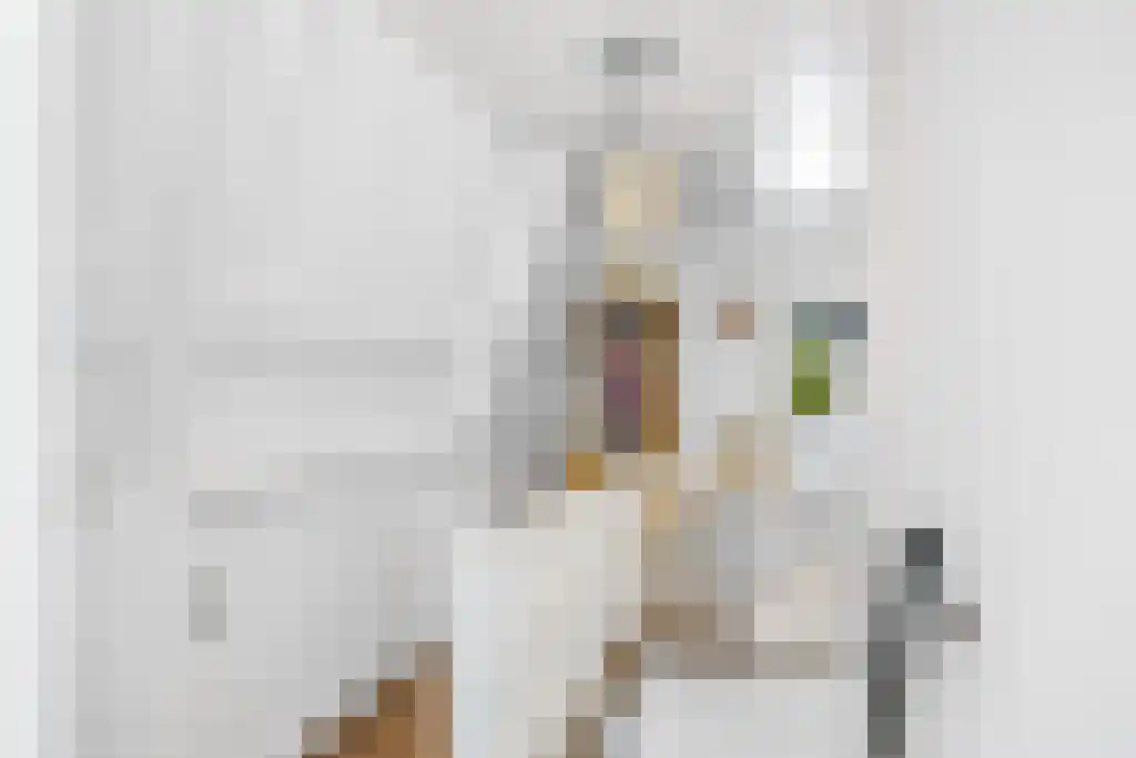 Dwarsnoard 8 Workum thumbnail 21
