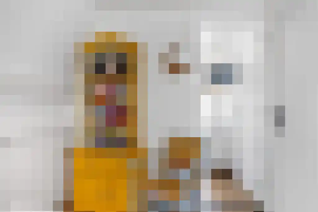 Dwarsnoard 8 Workum thumbnail 22