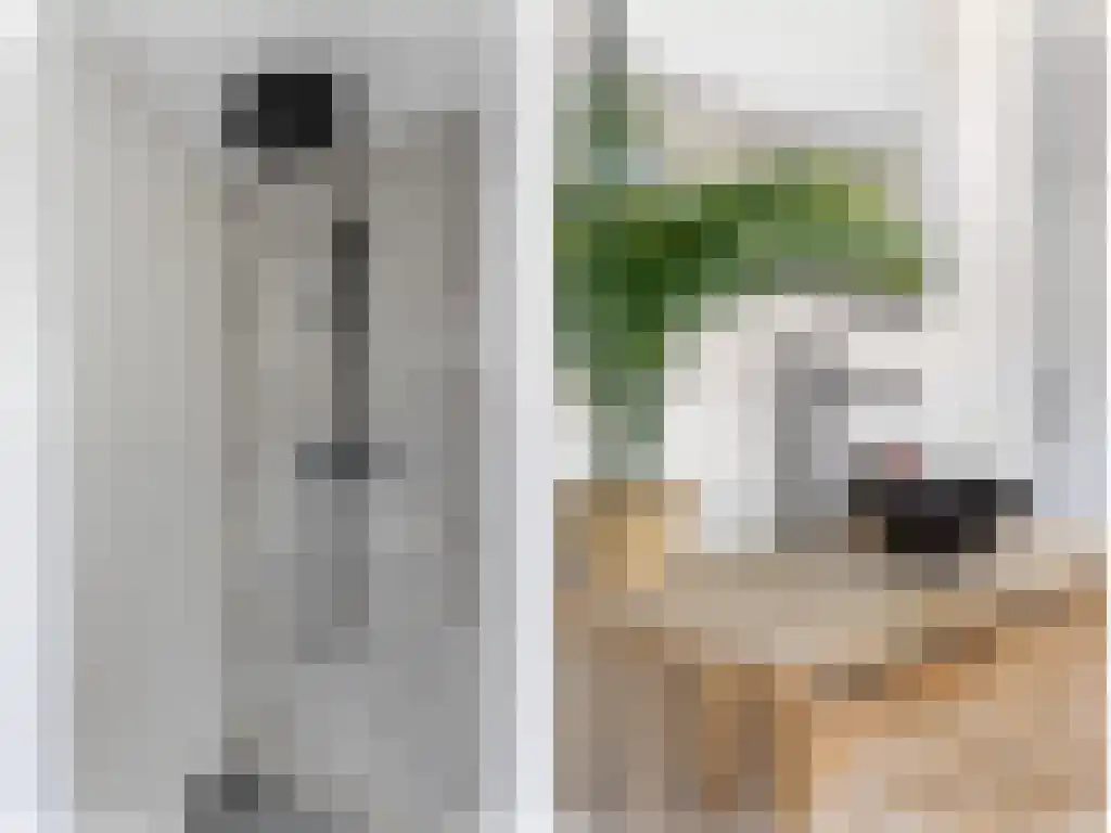 Dwarsnoard 8 Workum thumbnail 30