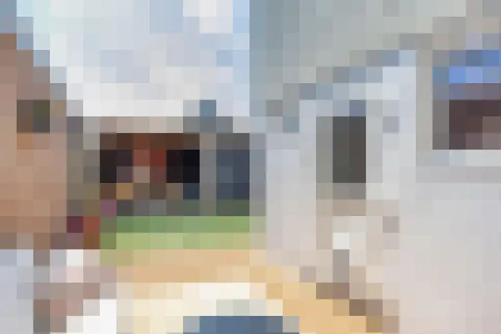 Dwarsnoard 8 Workum thumbnail 31