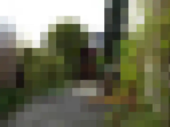 Dwarspad 7 Slootdorp thumbnail 23