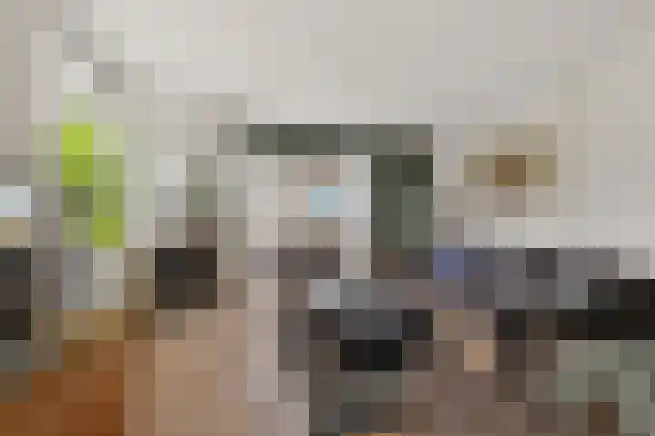 Dwarsreed 2 De Westereen thumbnail 12