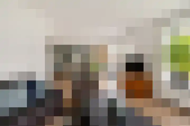 Dwarsreed 2 De Westereen thumbnail 13