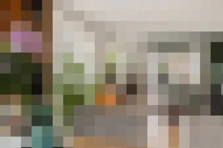 Dwarsreed 2 De Westereen thumbnail 17