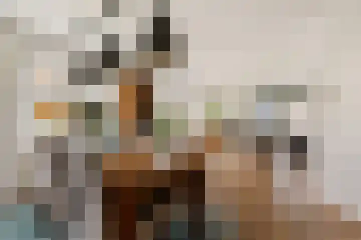 Dwarsreed 2 De Westereen thumbnail 18
