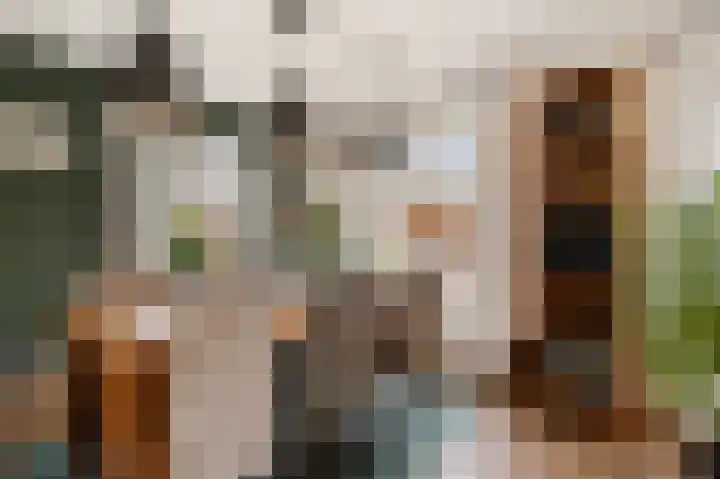 Dwarsreed 2 De Westereen thumbnail 19
