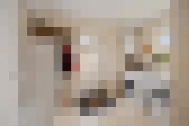 Dwarsreed 2 De Westereen thumbnail 24
