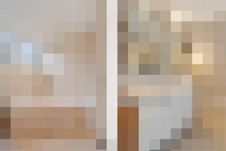 Dwarsreed 2 De Westereen thumbnail 31