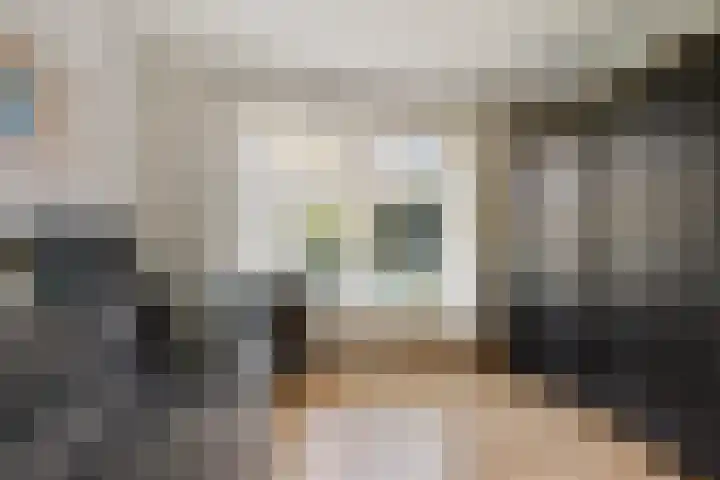 Dwarsreed 2 De Westereen thumbnail 33