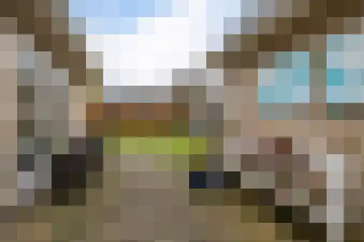 Dwarsreed 2 De Westereen thumbnail 37