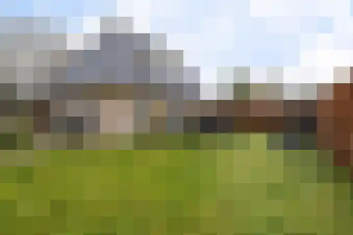Dwarsreed 2 De Westereen thumbnail 38