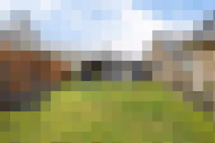 Dwarsreed 2 De Westereen thumbnail 39
