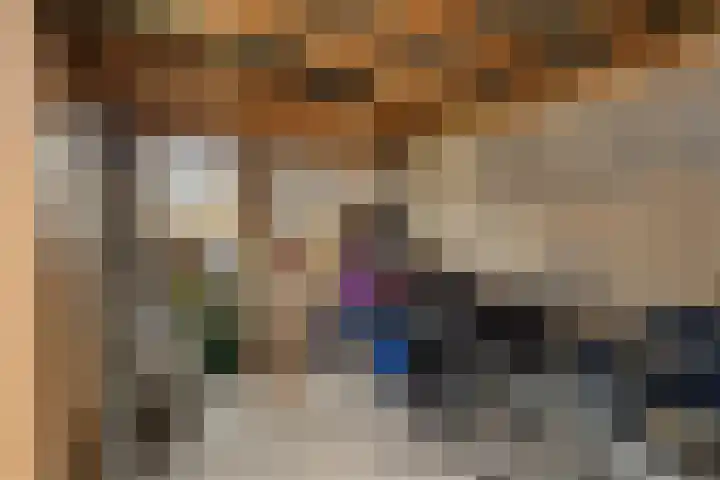 Dwarsreed 2 De Westereen thumbnail 44