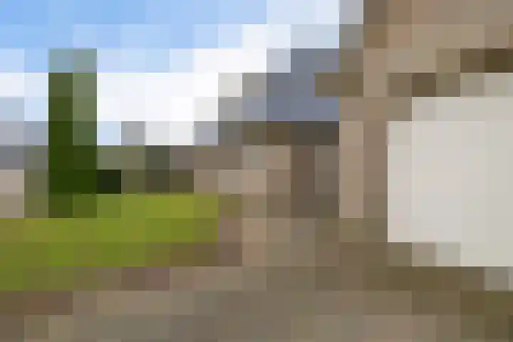 Dwarsreed 2 De Westereen thumbnail 46