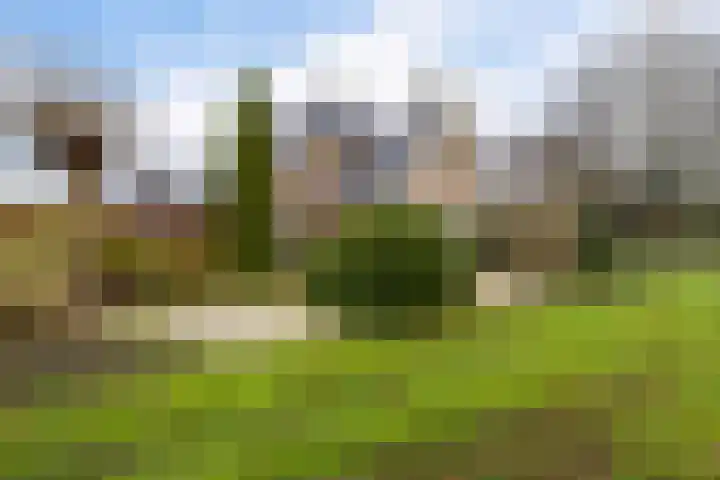 Dwarsreed 2 De Westereen thumbnail 47