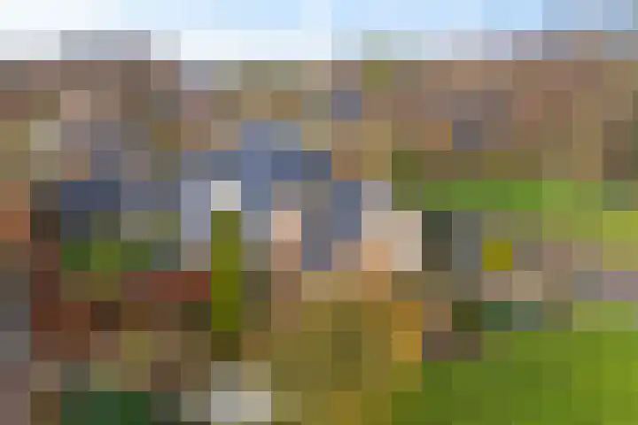 Dwarsreed 2 De Westereen thumbnail 49