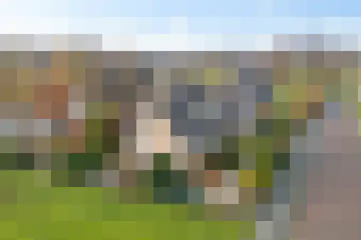 Dwarsreed 2 De Westereen thumbnail 52