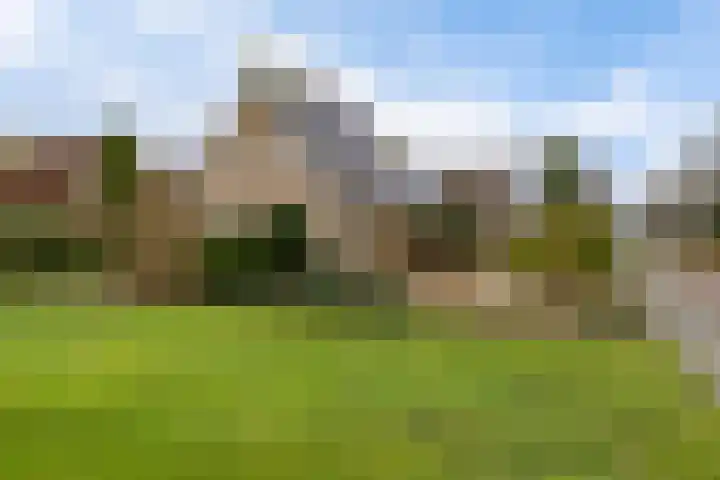Dwarsreed 2 De Westereen thumbnail 53
