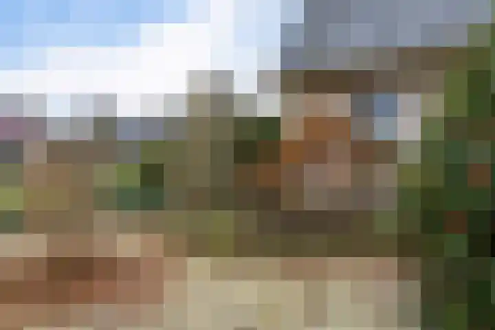 Dwarsreed 2 De Westereen thumbnail 54