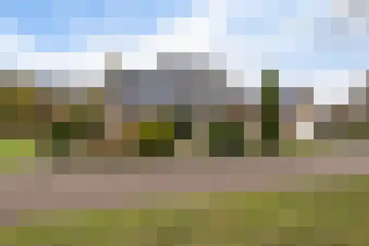 Dwarsreed 2 De Westereen thumbnail 6